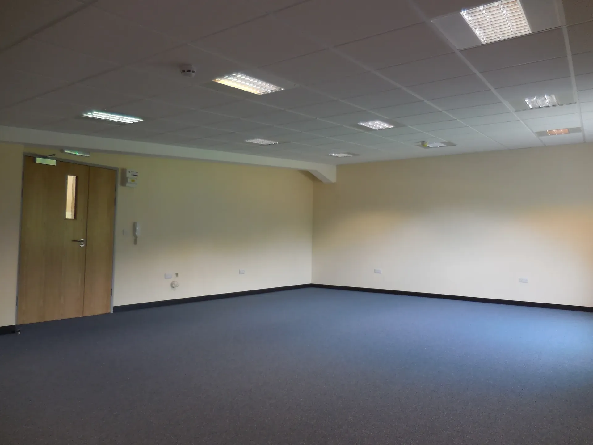 Large open office suite with blue carpet and suspended ceiling